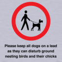 please-keep-all-dogs-on-a-lead-as-they-can-disturb-ground-nesting-birds-and-thei~